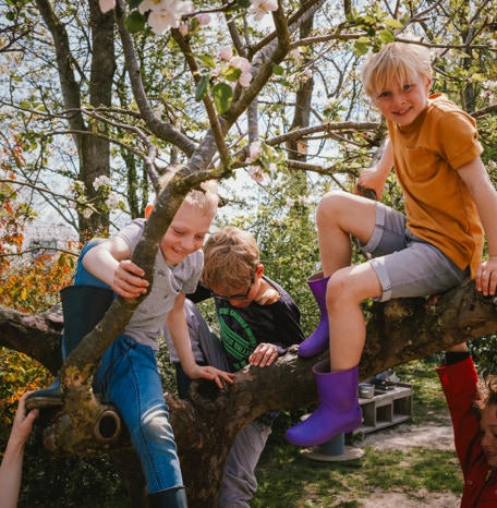 De Koebel - Assendelft Kinderopvang op de Boerderij