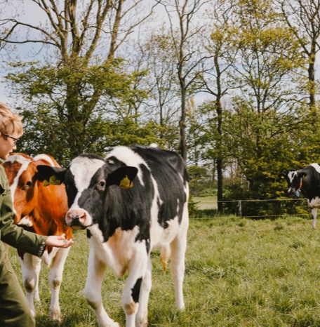 De Koebel - Assendelft Kinderopvang op de Boerderij