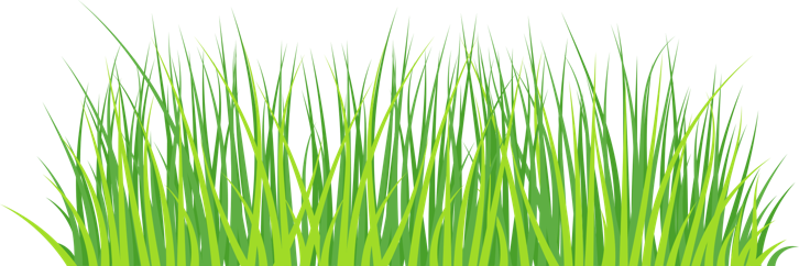 De Koebel - Assendelft Kinderopvang op de Boerderij