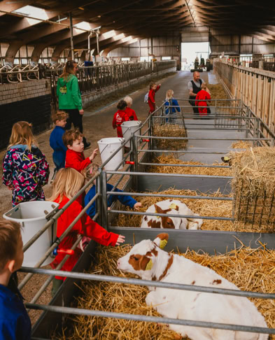 De Koebel - Assendelft Kinderopvang op de Boerderij