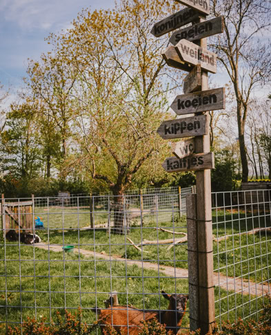 De Koebel - Assendelft Kinderopvang op de Boerderij