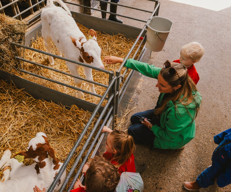 De Koebel - Assendelft Kinderopvang op de Boerderij