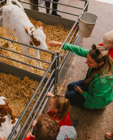 De Koebel - Assendelft Kinderopvang op de Boerderij