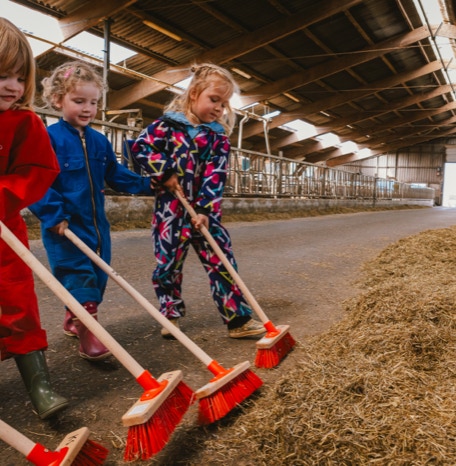 De Koebel - Assendelft Kinderopvang op de Boerderij