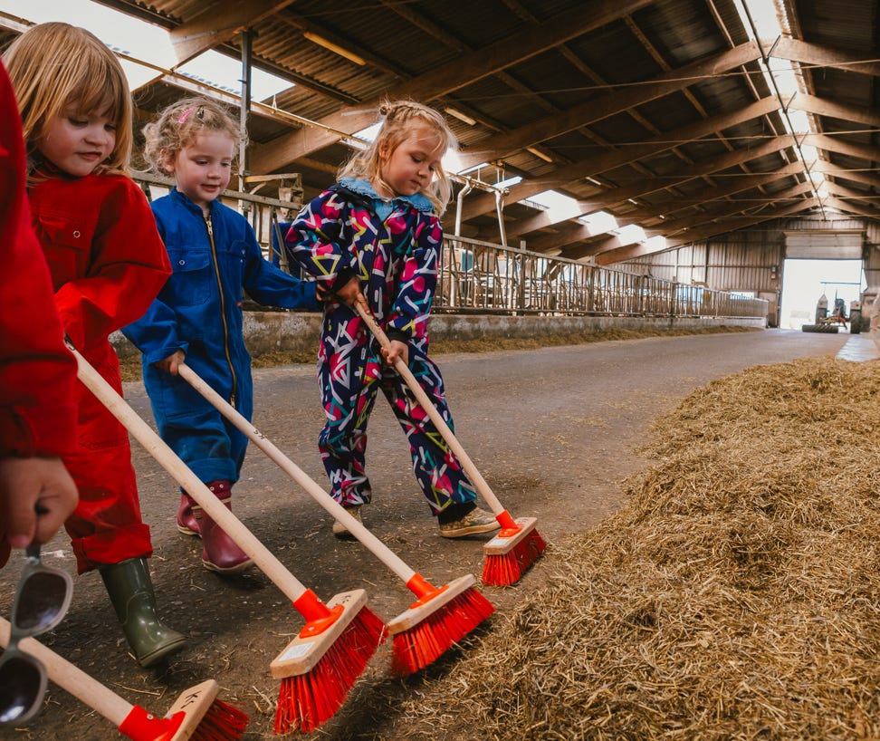 De Koebel - Assendelft Kinderopvang op de Boerderij